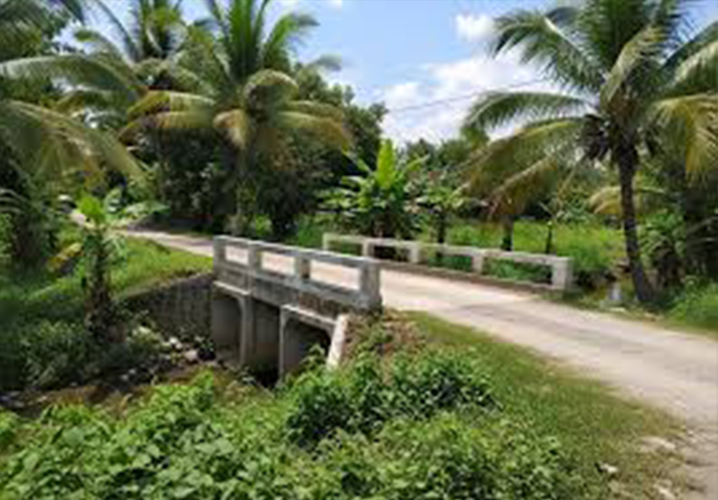 Perbandingan Box Culvert vs Jembatan